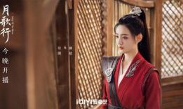 徐璐主演电视剧