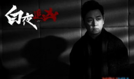 电视剧白夜追凶,黑白交织的悬疑世界，正义与邪恶的生死较量